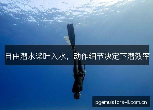 自由潜水桨叶入水，动作细节决定下潜效率